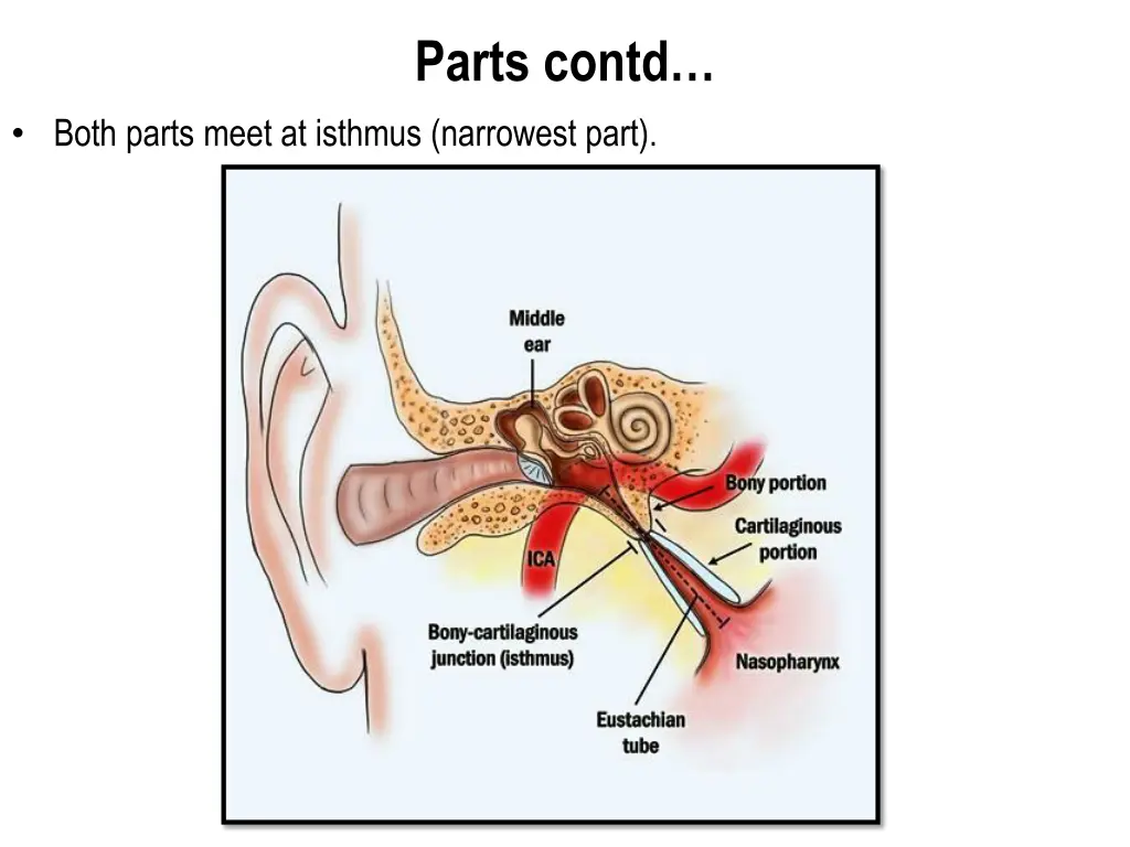 parts contd