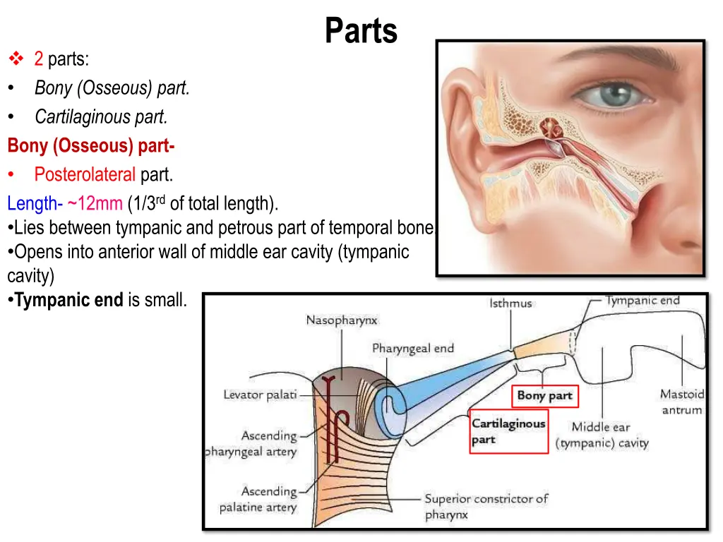 parts