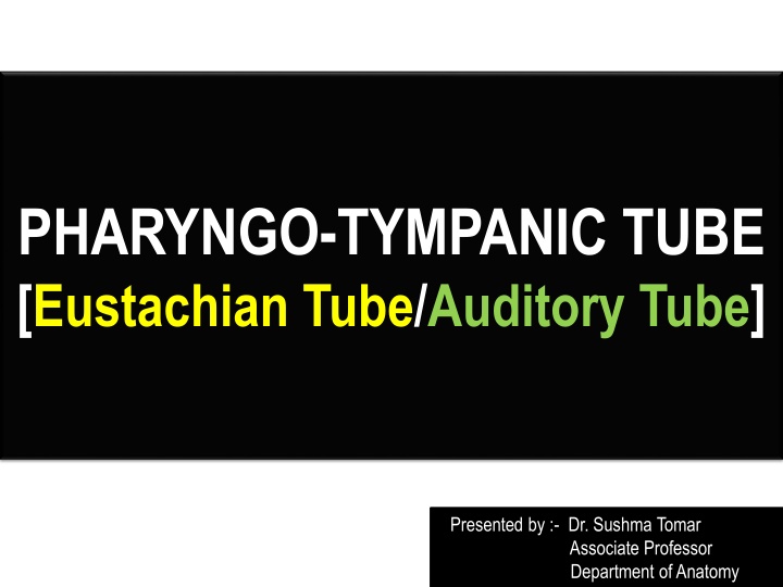 pharyngo tympanic tube eustachian tube auditory