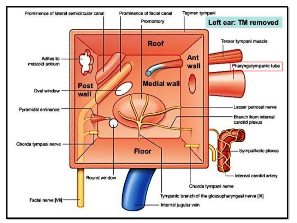 slide6