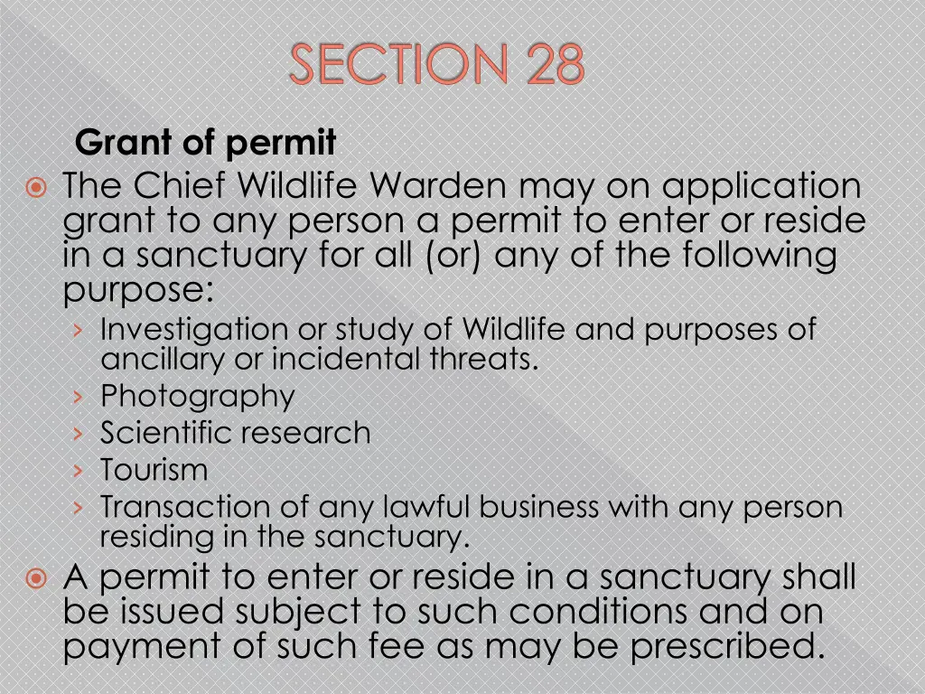 section 28