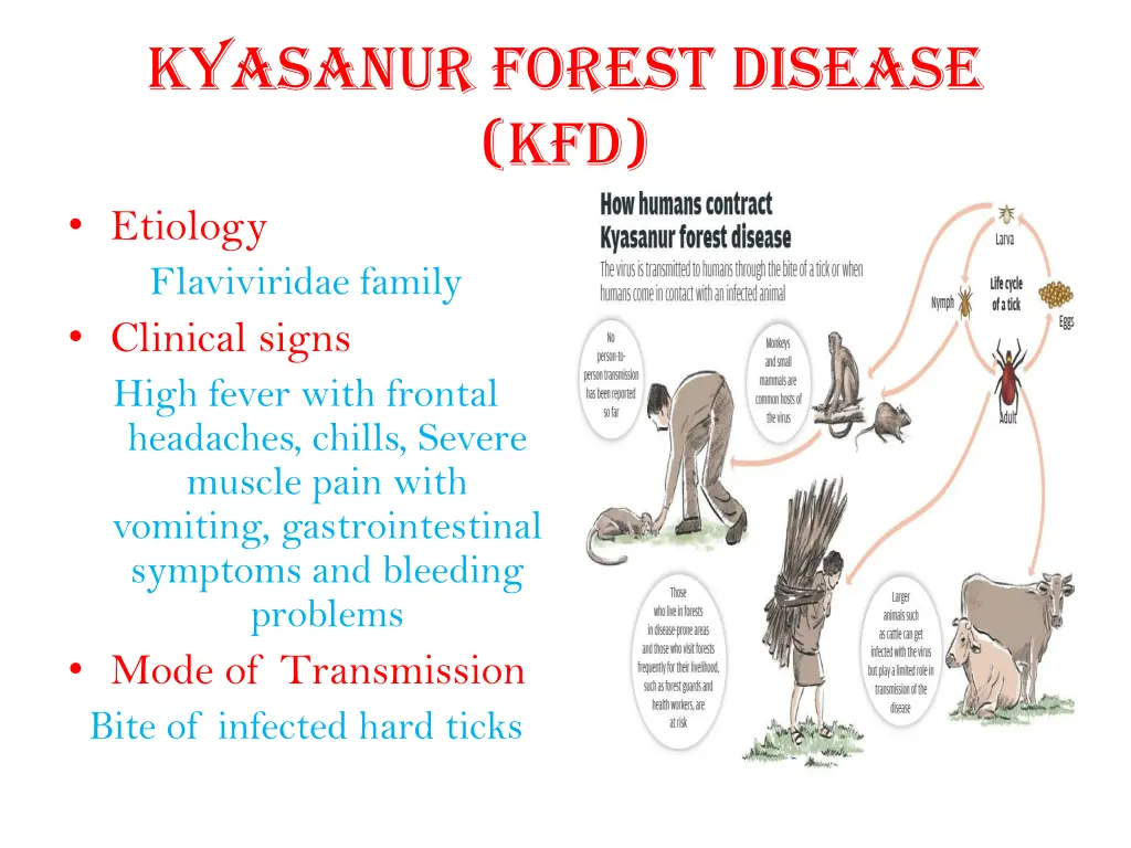 kyasanur forest disease kfd etiology flaviviridae