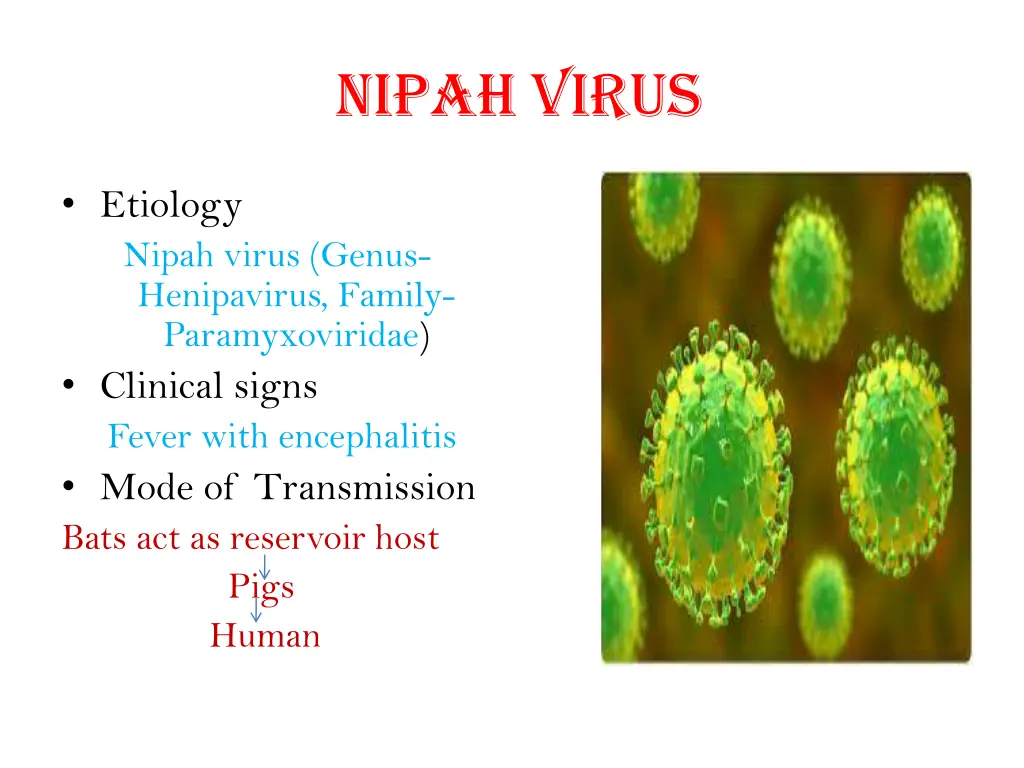 nipah virus