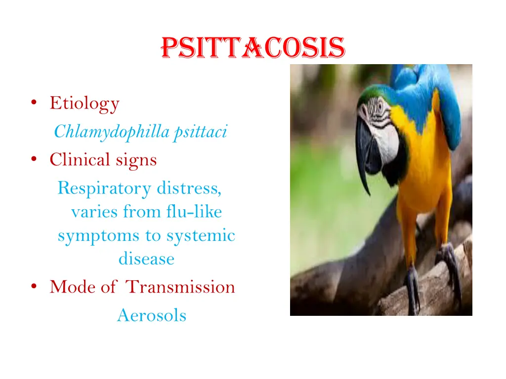 psittacosis