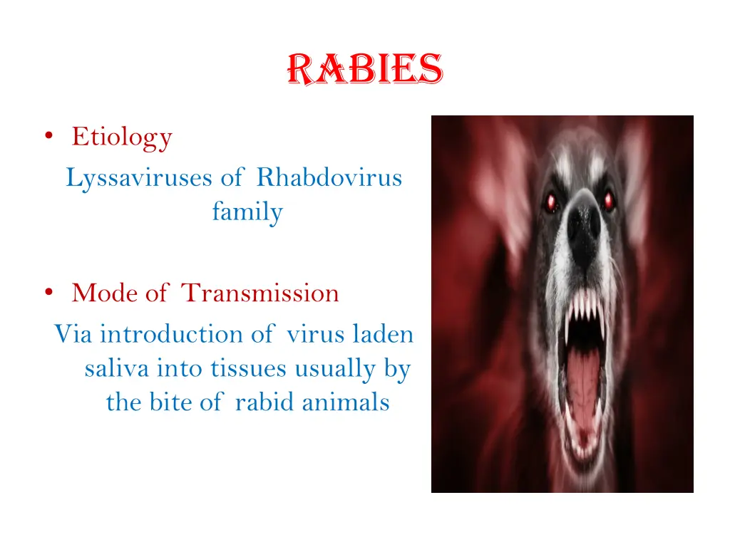 rabies