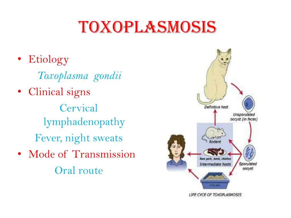 toxoplasmosis