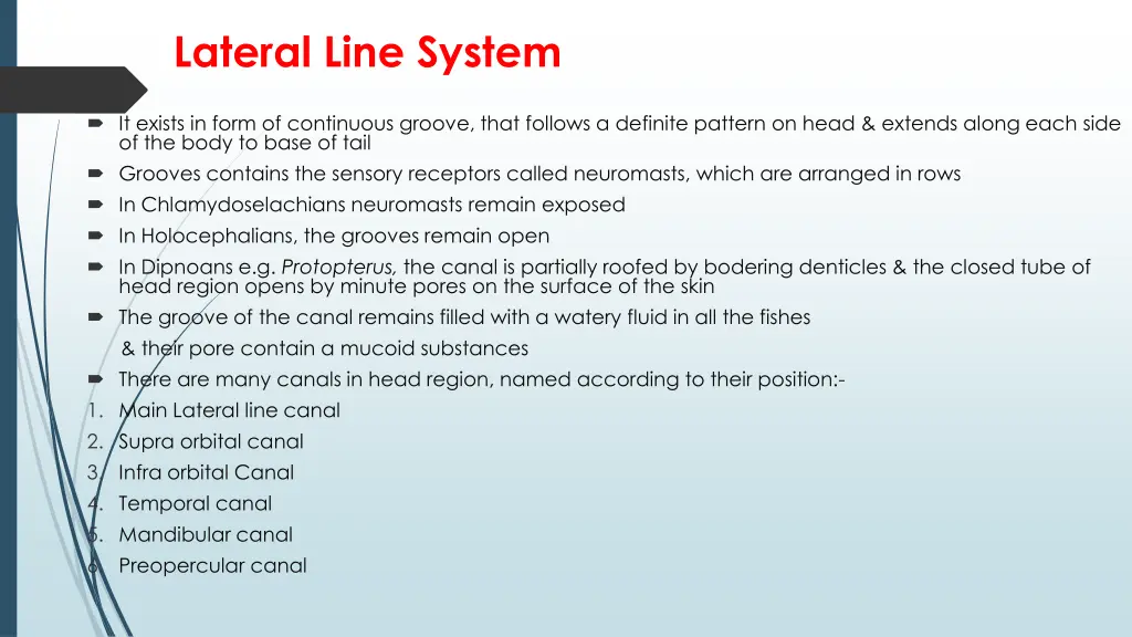 lateral line system