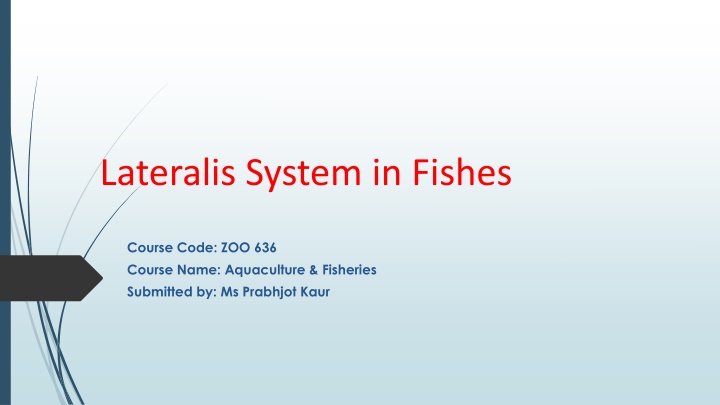 lateralis system in fishes