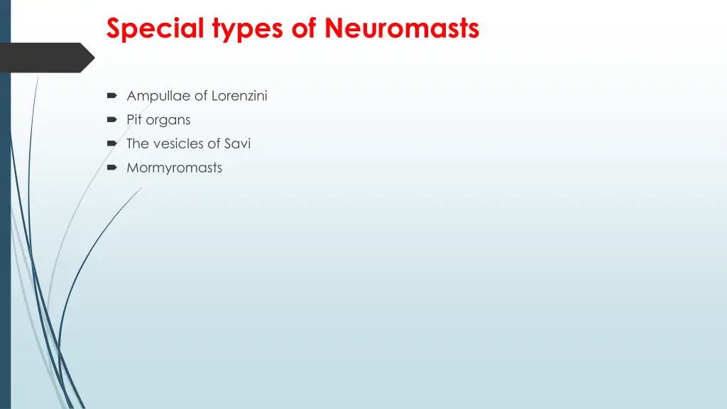 special types of neuromasts