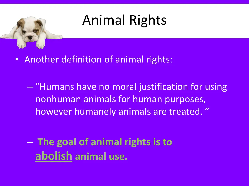 animal rights 1