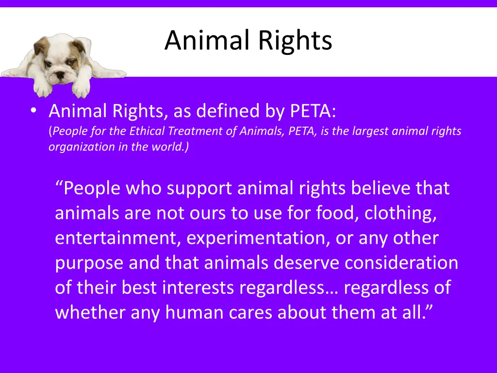 animal rights