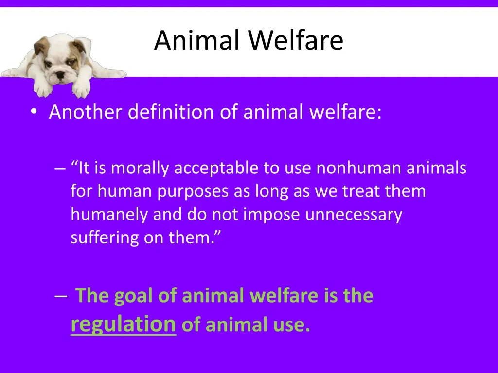 animal welfare 1