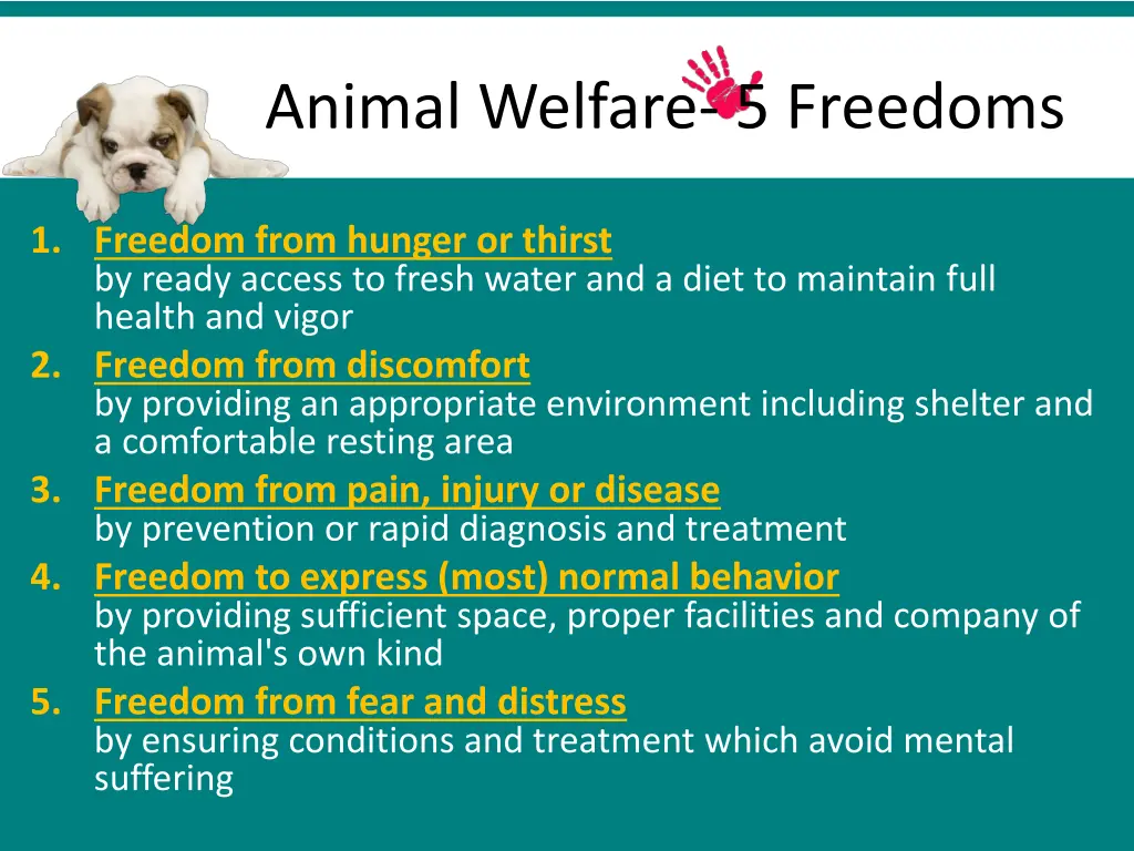 animal welfare 5 freedoms