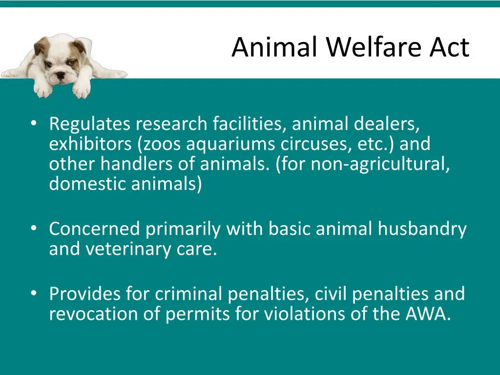 animal welfare act