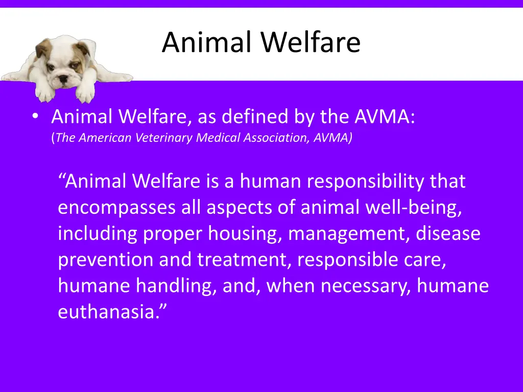 animal welfare