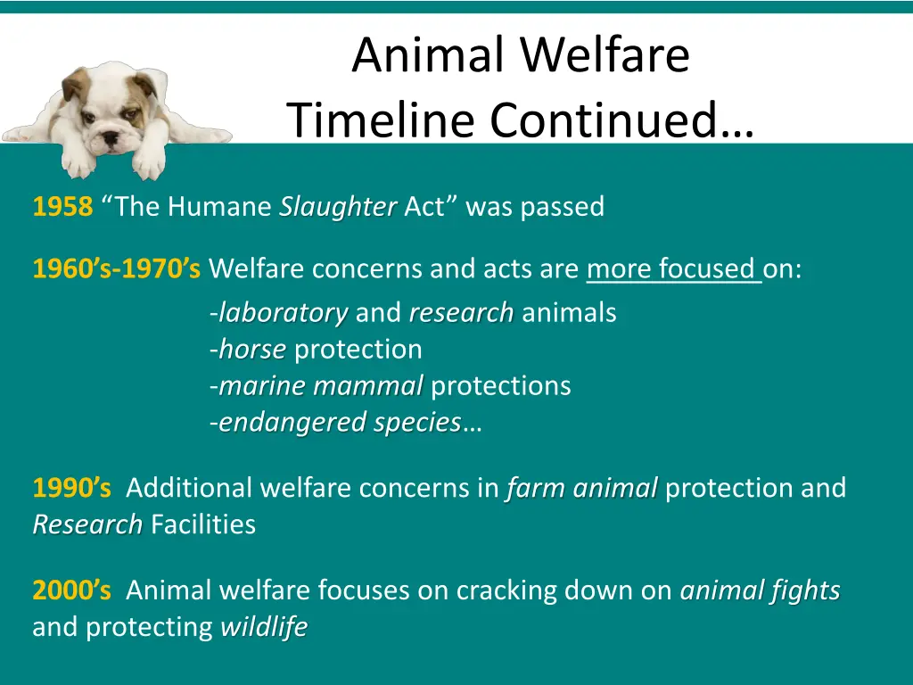 animal welfare timeline continued