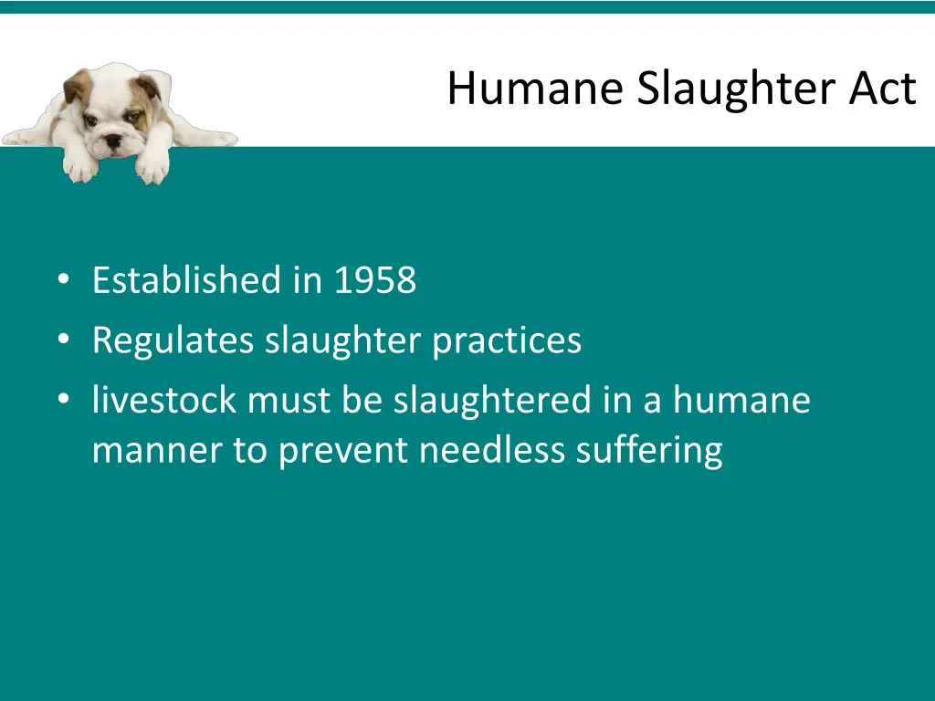 humane slaughter act