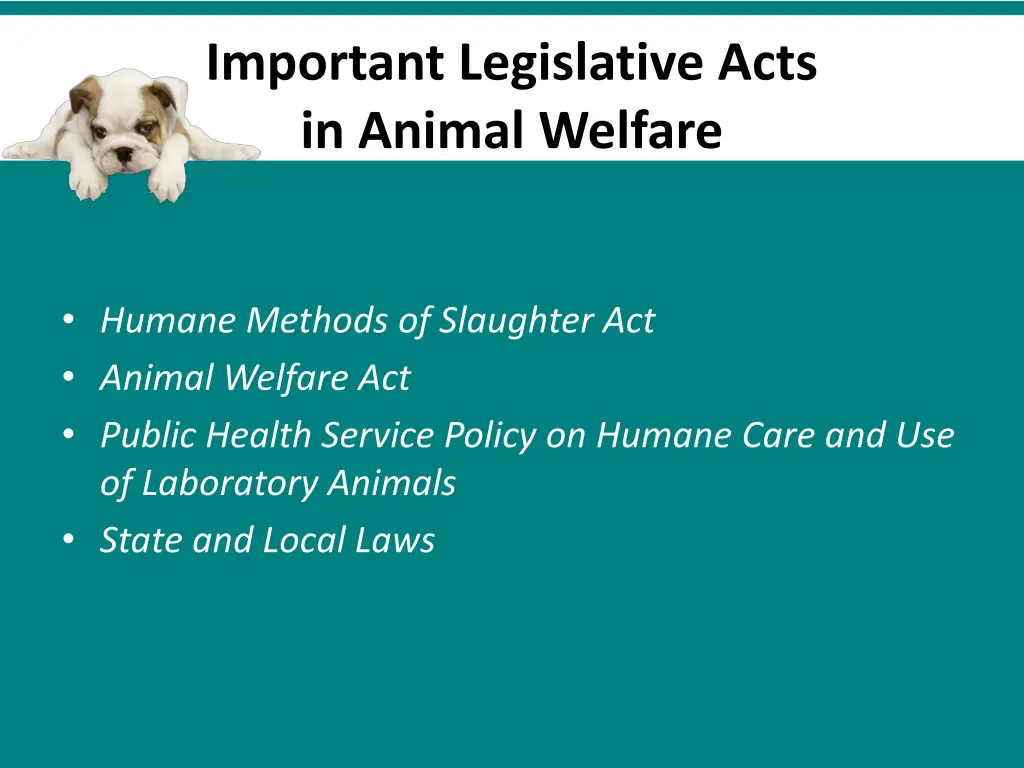 important legislative acts in animal welfare