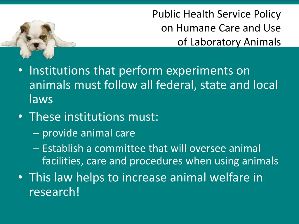 public health service policy on humane care