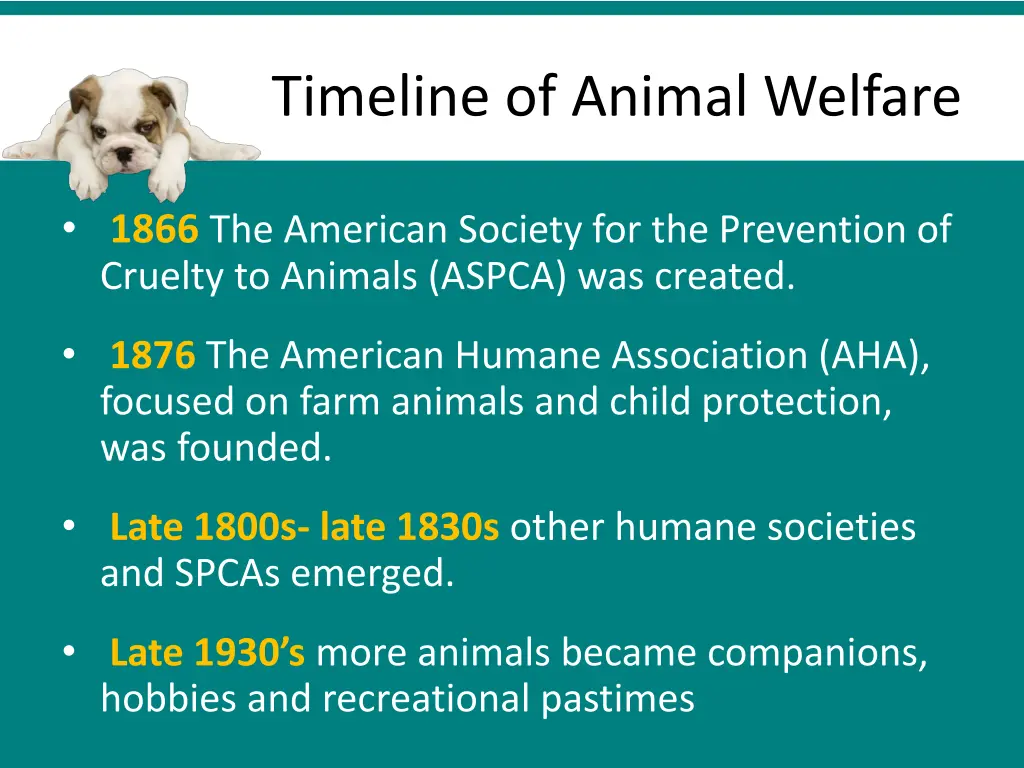 timeline of animal welfare