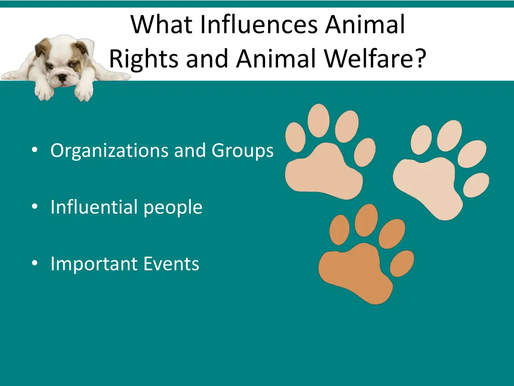 what influences animal rights and animal welfare