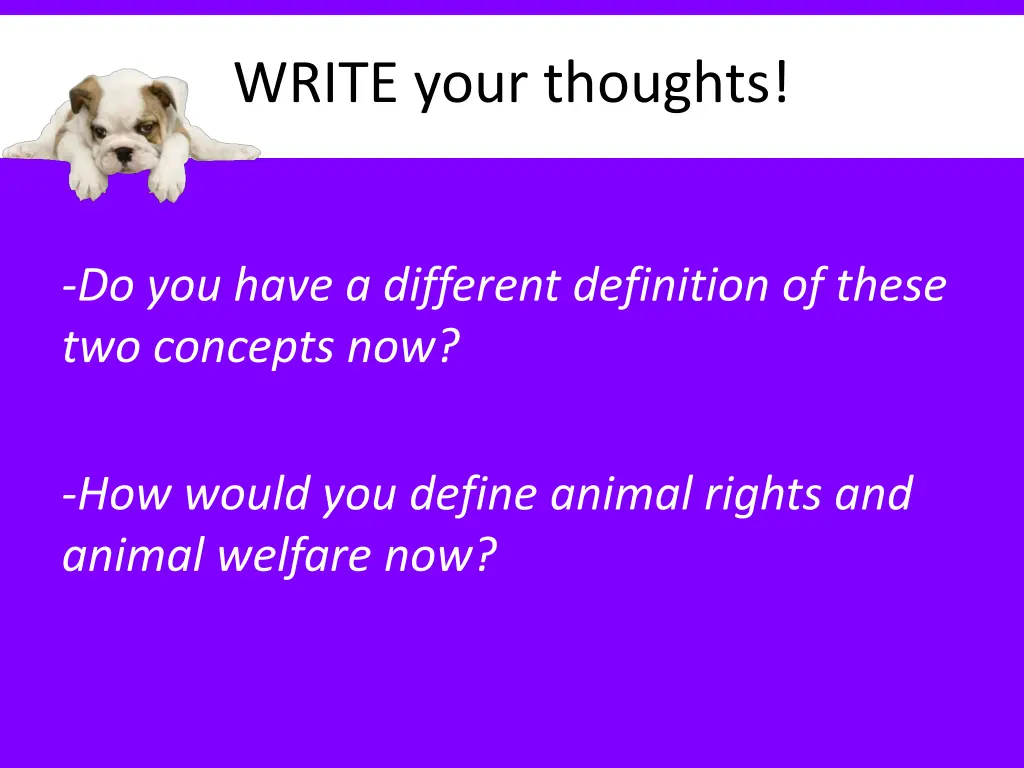 write your thoughts 1