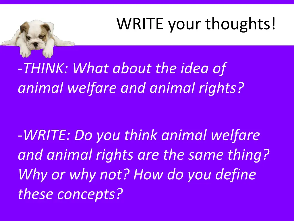 write your thoughts