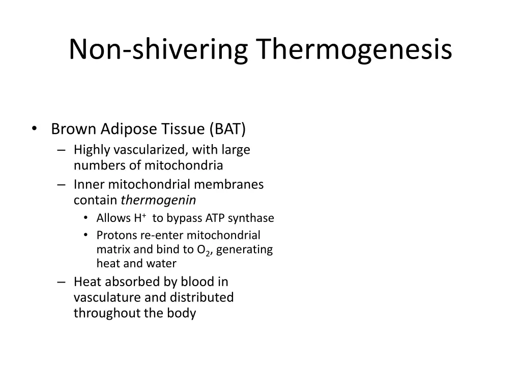 non shivering thermogenesis