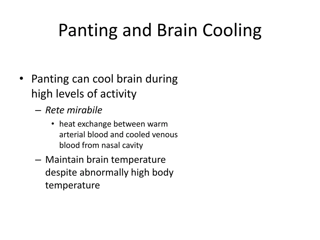 panting and brain cooling