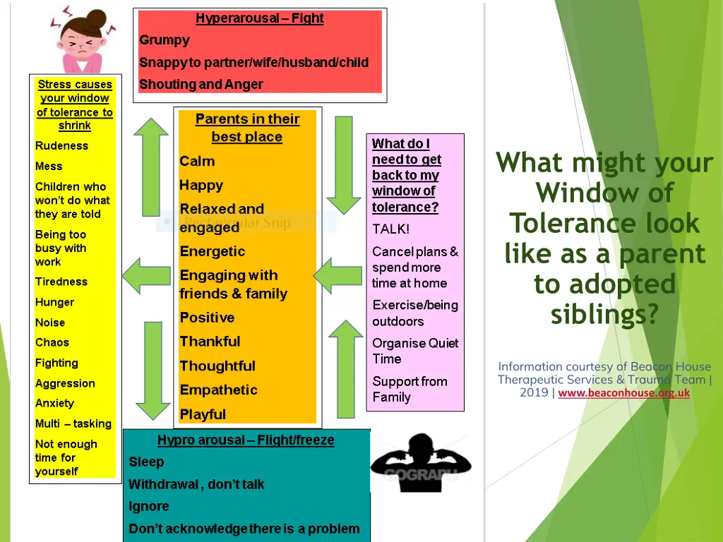 what might your window of tolerance look like