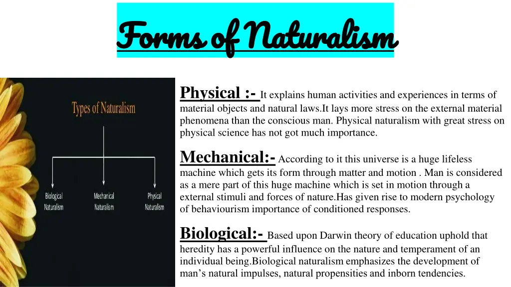 forms of naturalism