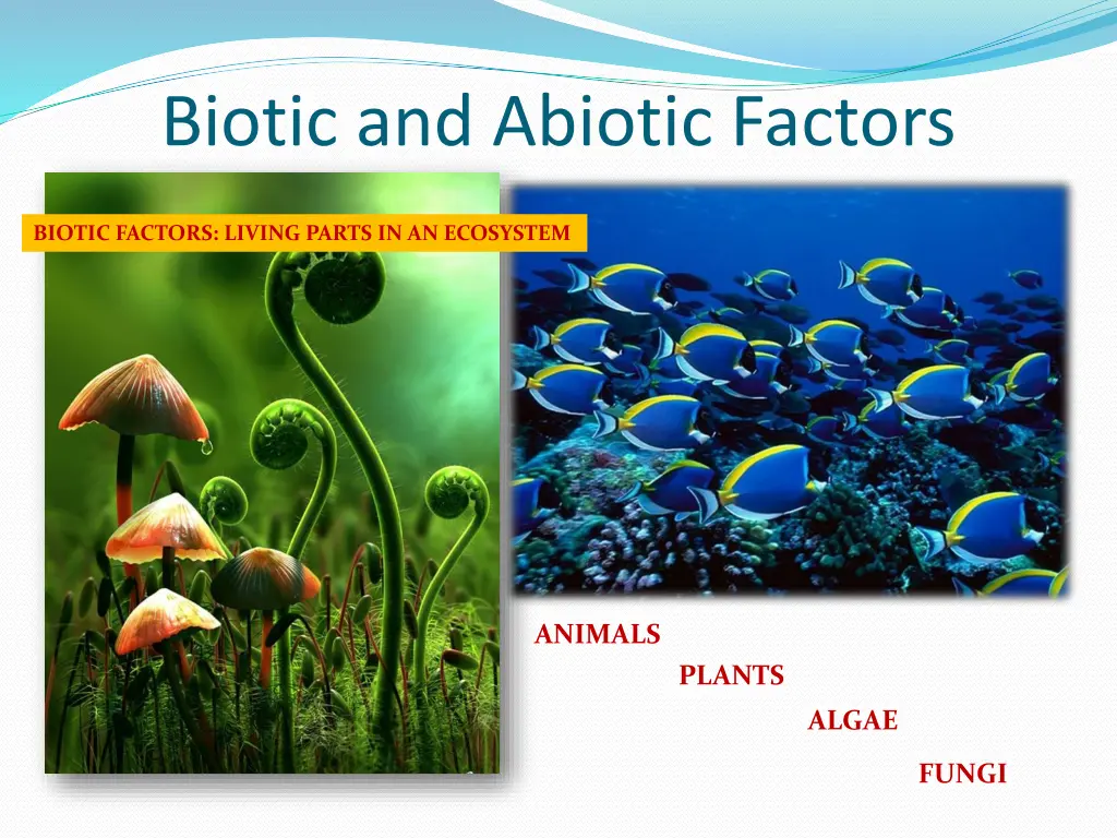 biotic and abiotic factors