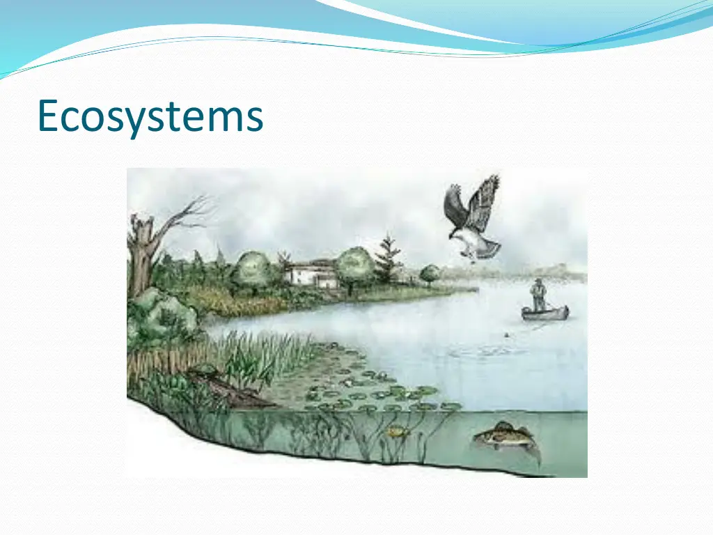 ecosystems