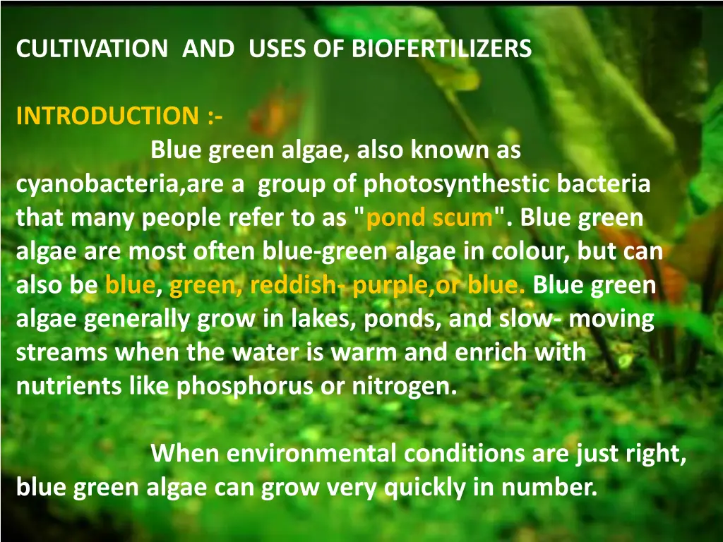 cultivation and uses of biofertilizers