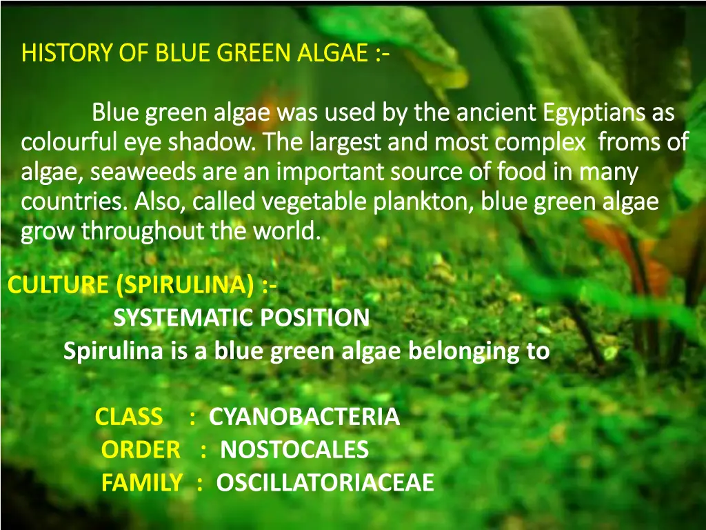 history of blue green algae history of blue green