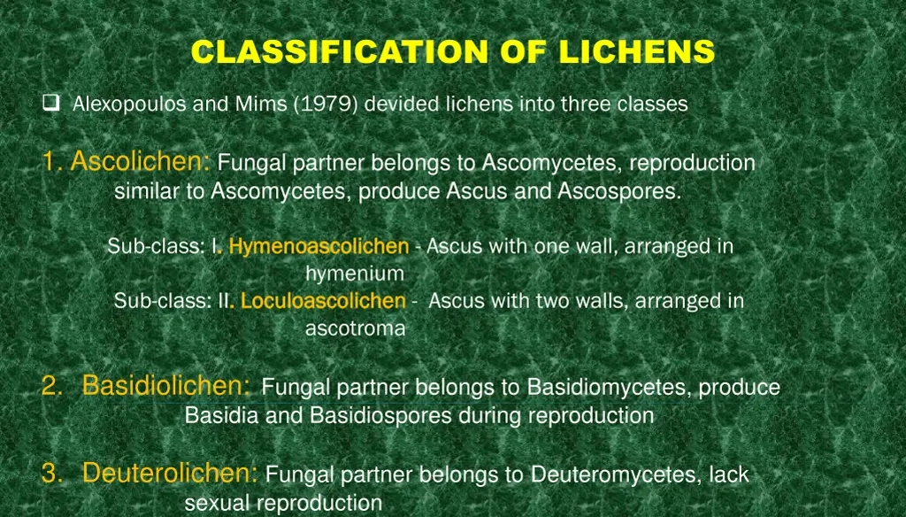 classification of lichens 1