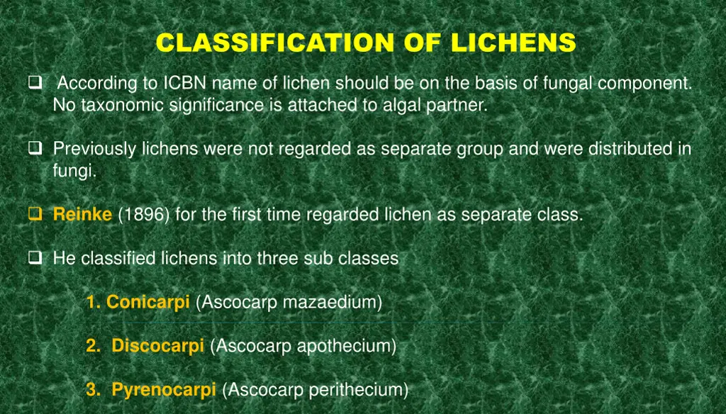 classification of lichens