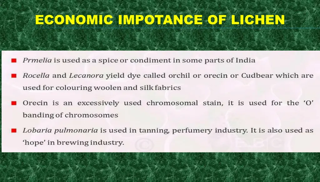 economic impotance of lichen 1