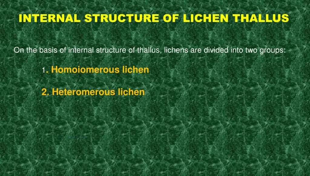 internal structure of lichen thallus