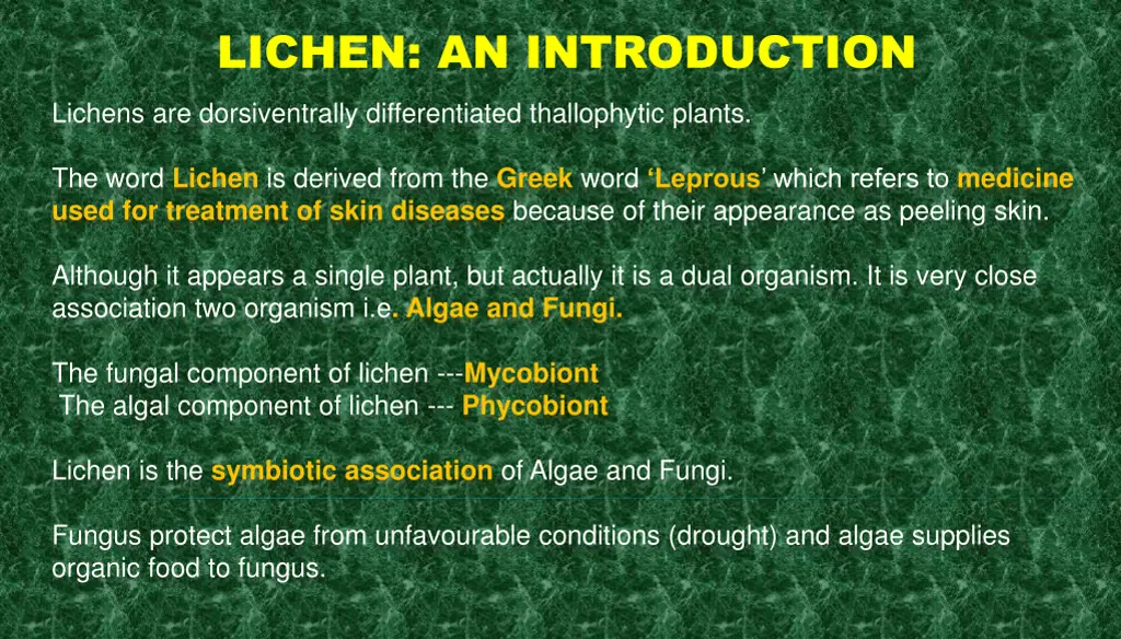 lichen an introduction