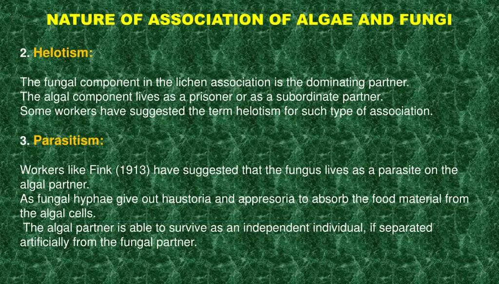 nature of association of algae and fungi 1