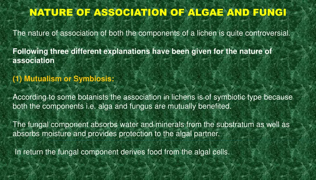 nature of association of algae and fungi