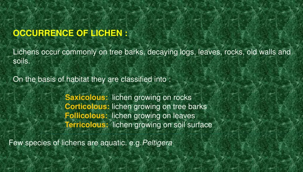 occurrence of lichen