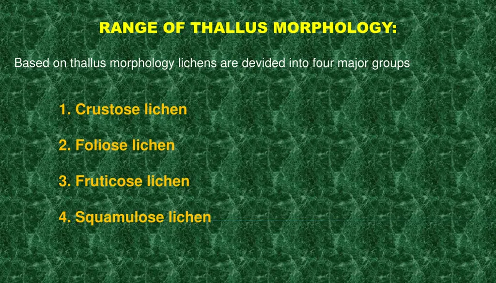 range of thallus morphology