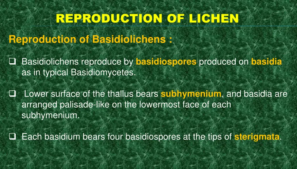 reproduction of lichen 8