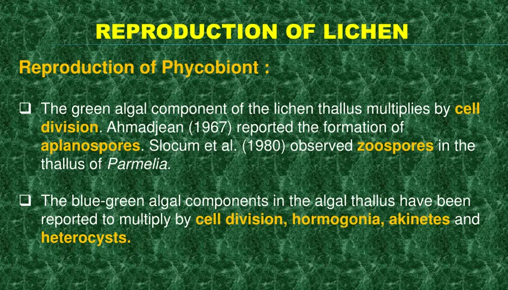 reproduction of lichen 9