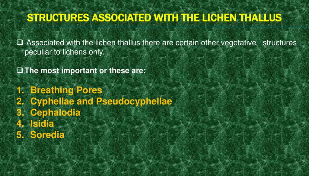 structures associated with the lichen structures