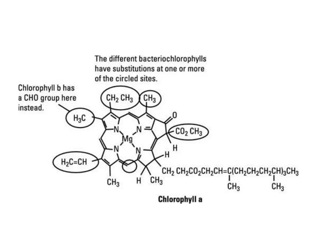 slide7