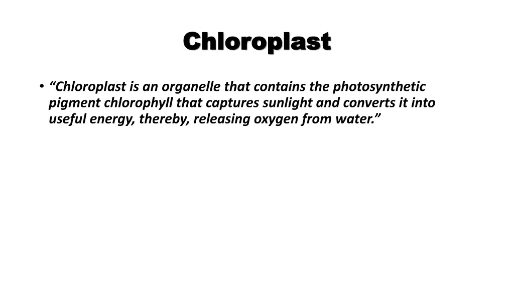 chloroplast chloroplast