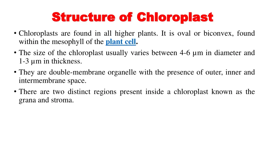 structure of structure of chloroplast